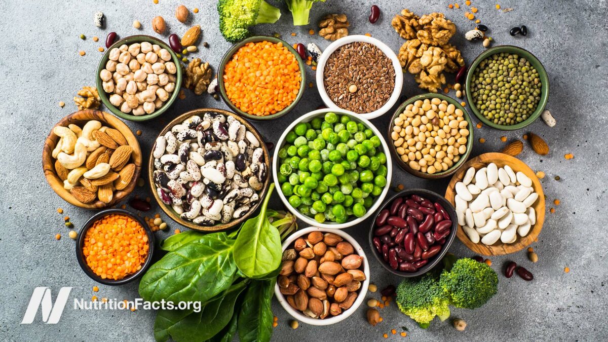Feed Your Natural Detox Team
